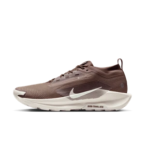 Męskie wodoszczelne buty do biegania w terenie Nike Pegasus Trail 5 GORE-TEX SP - Brązowy