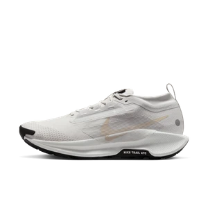 Męskie wodoszczelne buty do biegania w terenie Nike Pegasus Trail 5 GORE-TEX - Szary