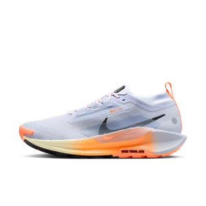Męskie wodoszczelne buty do biegania w terenie Nike Pegasus Trail 5 GORE-TEX - Szary
