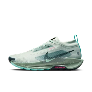 Męskie wodoszczelne buty do biegania w terenie Nike Pegasus Trail 5 GORE-TEX - Szary