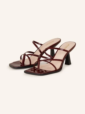 Mi/Mai Japonki Misty rot