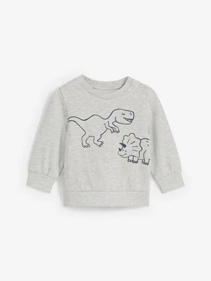 Miękka bluza z bawełny organicznej z motywem dinozaurów bonprix