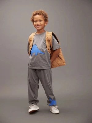 Mini Rodini spodnie dresowe bawełniane dziecięce Dino