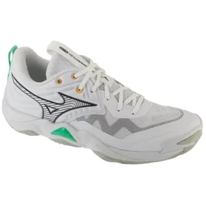 Mizuno Wave Momentum Elite V1GA251221, Męskie, Białe, buty do siatkówki, przewiewna siateczka, rozmiar: 41