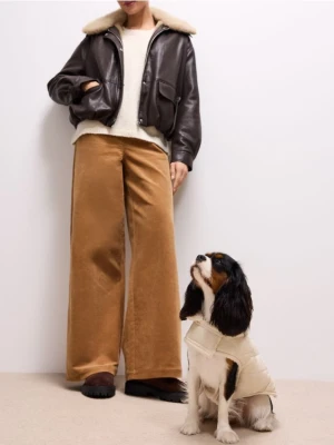 Mohito - Kurtka dla psa - kremowy