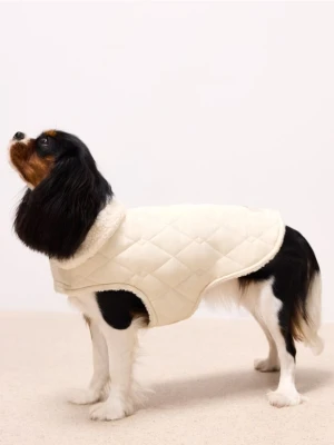 Mohito - Kurtka dla psa - kremowy