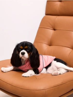 Mohito - Kurtka dla psa - pastelowy różowy