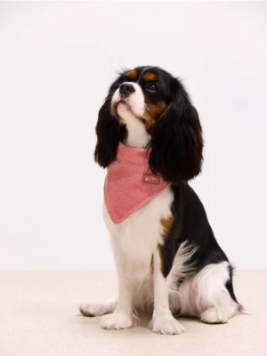 Mohito - Obroża dla psa - pastelowy różowy