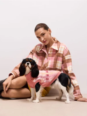 Mohito - Sweter dla psa - wielobarwny