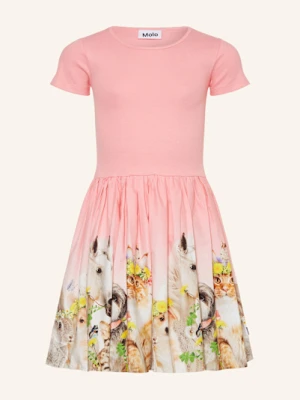 Molo Sukienka Cissa Z Mieszanki Materiałów rosa