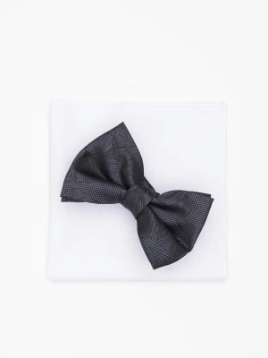 MUCHA KWIATY GRAFITOWA 216 Recman