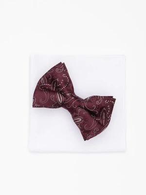 MUCHA PAISLEY BORDOWA 203 Recman