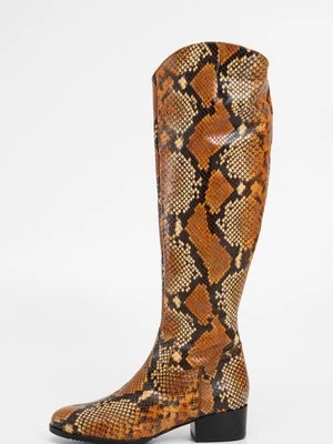 Muszkieterki Peter Kaiser