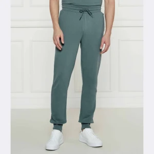 Napapijri Spodnie dresowe MALIS SUM | Regular Fit