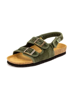 natural world Sandały w kolorze khaki rozmiar: 26