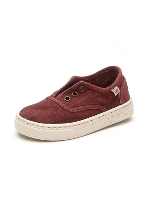 natural world Slippersy w kolorze czerwonym rozmiar: 31