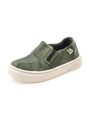 natural world Slippersy w kolorze khaki rozmiar: 30