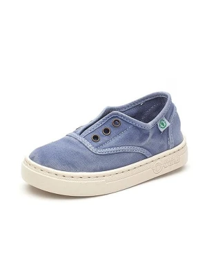 natural world Slippersy w kolorze niebieskim rozmiar: 34