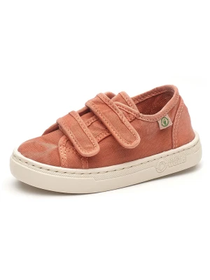 natural world Sneakersy w kolorze czerwonym rozmiar: 34