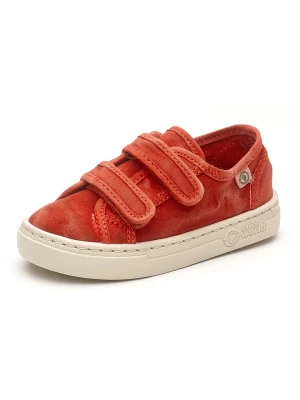 natural world Sneakersy w kolorze czerwonym rozmiar: 36