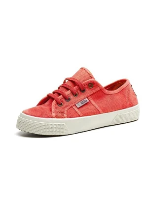 natural world Sneakersy w kolorze czerwonym rozmiar: 36