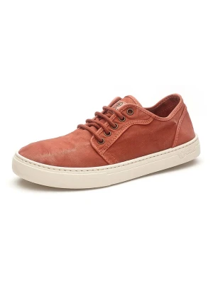 natural world Sneakersy w kolorze czerwonym rozmiar: 42