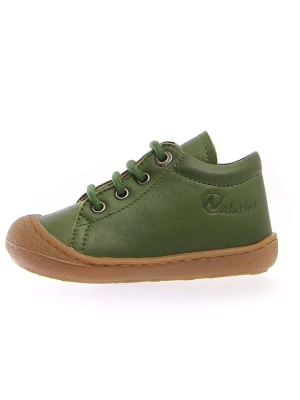 Naturino Skórzane buty "Cocoon" w kolorze zielonym do nauki chodzenia rozmiar: 25