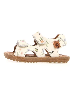 Naturino Skórzane sandały "Sky" w kolorze kremowym rozmiar: 31