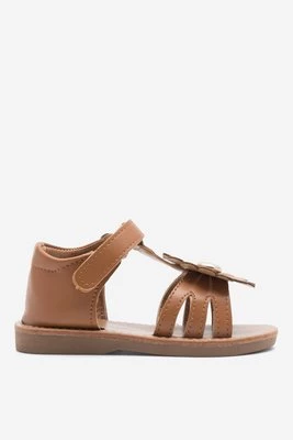 Nelli Blu CM220804-5 Camel