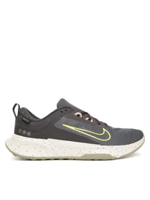 Nike Buty do biegania Juniper Trail 2 Gtx V2 HM9734 200 Szary