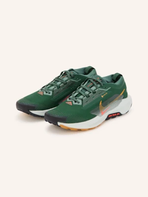 Nike Buty Do Biegania W Terenie Pegasus Trail 5 Gtx gruen