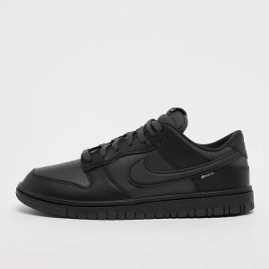 Zdjęcie produktu Dunk Low GTX Nike