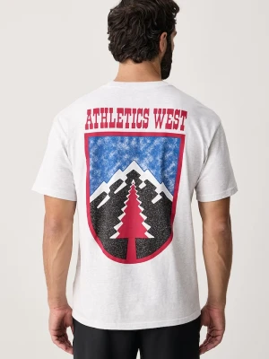 Nike Sportswear T-shirt męski bawełniany szary