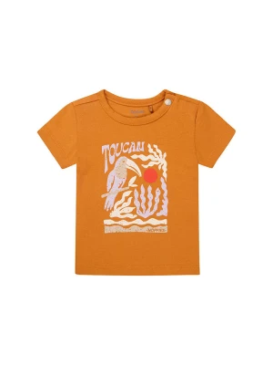 Noppies Koszulka "Ostra" w kolorze pomarańczowym rozmiar: 68