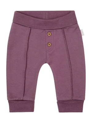 Noppies Spodnie "Gorcy" w kolorze fioletowym rozmiar: 80
