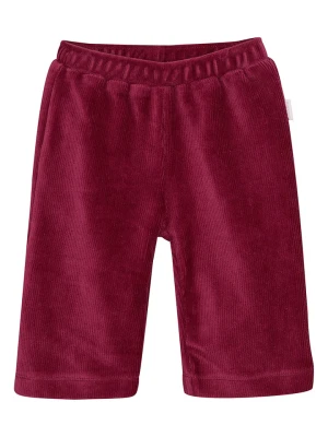 Noppies Spodnie sztruksowe w kolorze różowym rozmiar: 62