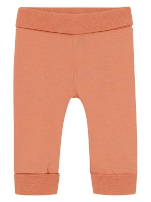 Noppies Spodnie w kolorze pomarańczowym rozmiar: 80