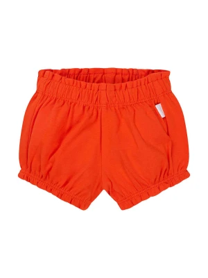 Noppies Szorty "Marinette" w kolorze czerwonym rozmiar: 62