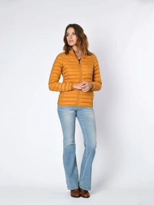 Northwood Kurtka pikowana w kolorze musztardowym rozmiar: L