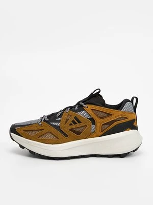 Obuwie do biegania Szlak adidas Originals