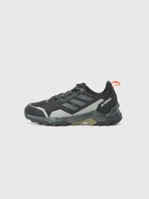 Obuwie do biegania Szlak adidas Terrex