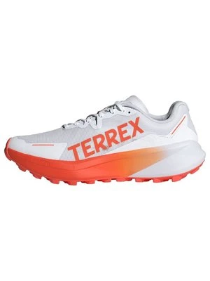 Obuwie do biegania Szlak adidas Terrex