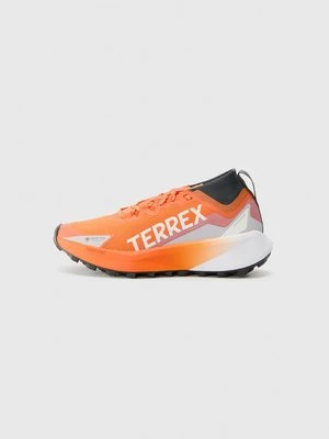 Obuwie do biegania Szlak adidas Terrex