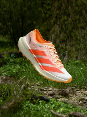 Obuwie do biegania Szlak Adidas Terrex biały