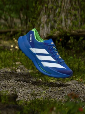 Obuwie do biegania Szlak Adidas Terrex niebieski