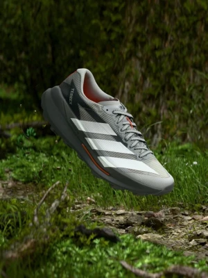 Obuwie do biegania Szlak Adidas Terrex szary