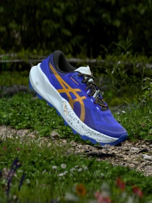 Obuwie do biegania Szlak Asics niebieski