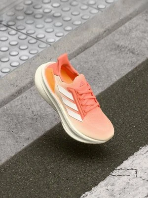 Obuwie do biegania treningowe adidas performance