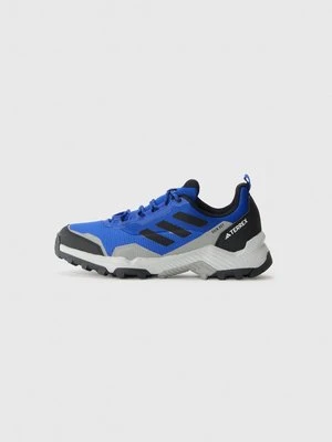 Obuwie do biegania Turystyka adidas Terrex