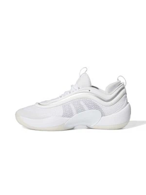 Obuwie do koszykówki adidas performance